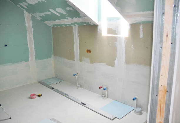 Best Post-Construction Mold Inspection  in Halawa, HI