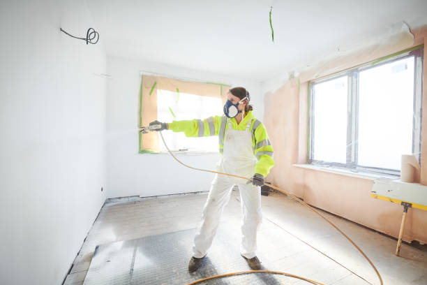 Best Crawl Space Mold Remediation  in Halawa, HI