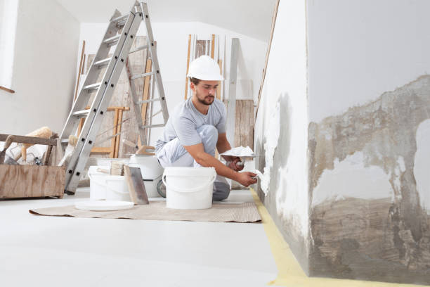  Halawa, HI Mold Removal Pros