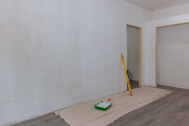 Best Basement Mold Removal  in Halawa, HI